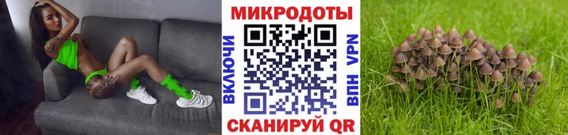 KRAKEN рабочий сайт  Шахунья  Галлюциногенные грибы Psilocybe 